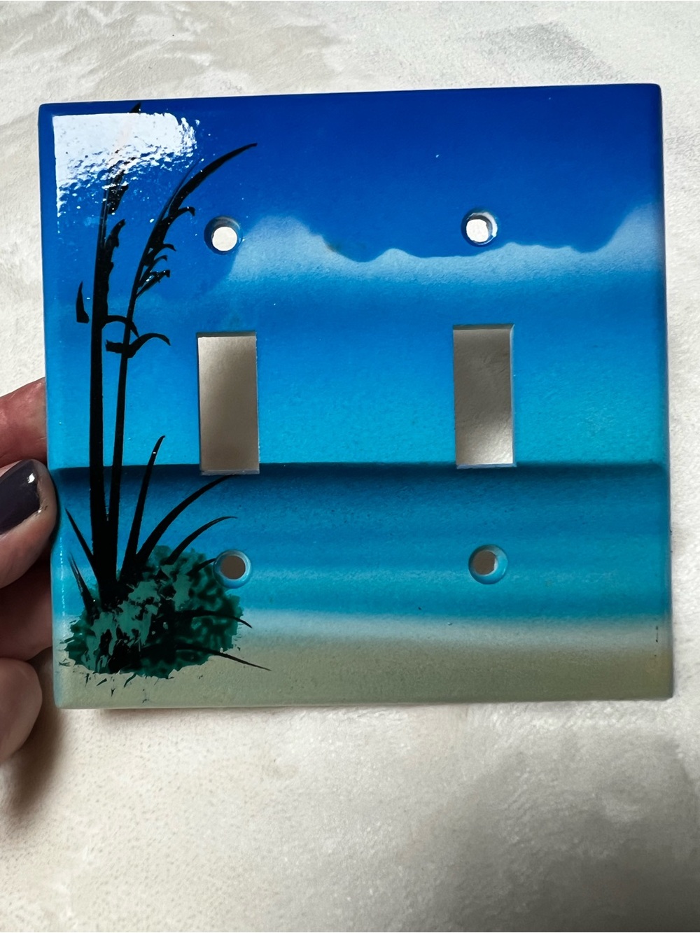Coastal Blue Tropical Nightlight Double Toggle Wall Plate